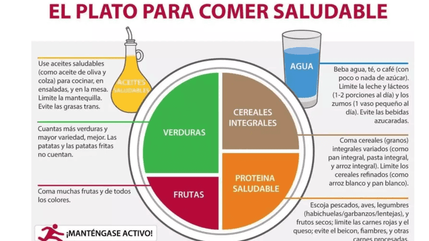 divisió d'un plat perquè sigui saludable, segons Harvard